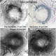 Ice rings seen on Lake Baikal and Lake Hovsgol.